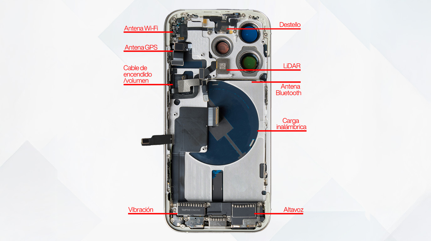 back cover.jpg